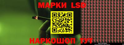 прущие грибы Шелехов