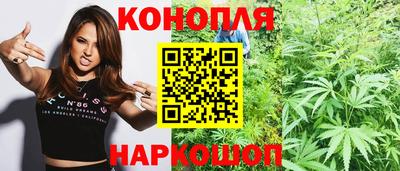 Альфа ПВП Шахты