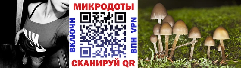 Галлюциногенные грибы мицелий  где можно купить наркотик  Челябинск 